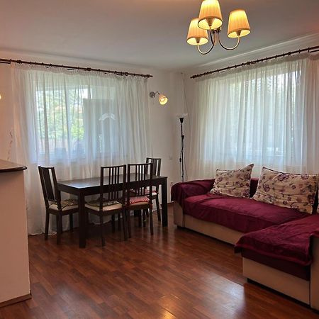 Vila De Inchiriat Aproape De Therme 발로테슈티 외부 사진