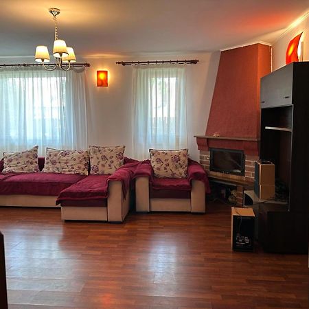Vila De Inchiriat Aproape De Therme 발로테슈티 외부 사진
