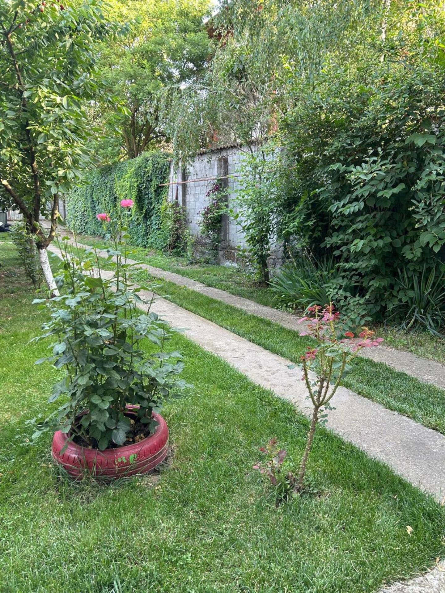 Vila De Inchiriat Aproape De Therme 발로테슈티 외부 사진